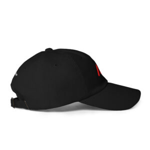 NV - Icon - Dad hat - Image 5