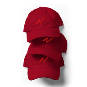 NV - Icon - Dad hat - Image 11