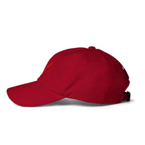 NV - Icon - Dad hat - Image 12