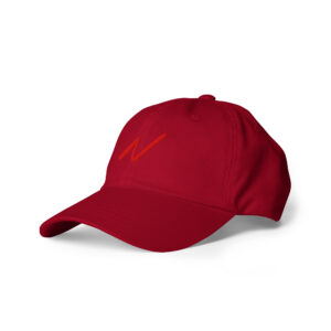 NV - Icon - Dad hat - Image 13