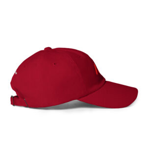 NV - Icon - Dad hat - Image 14
