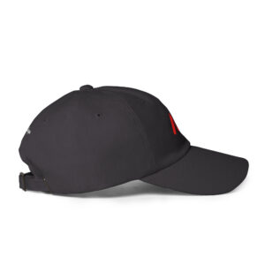 NV - Icon - Dad hat - Image 24