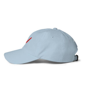 NV - Icon - Dad hat - Image 32
