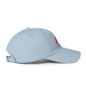 NV - Icon - Dad hat - Image 34
