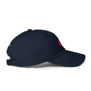 NV - Icon - Dad hat - Image 9
