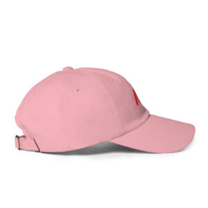 NV - Icon - Dad hat - Image 29