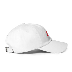 NV - Icon - Dad hat - Image 39